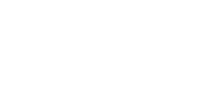 purus curae Pflegedienst